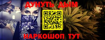 индика Лесосибирск